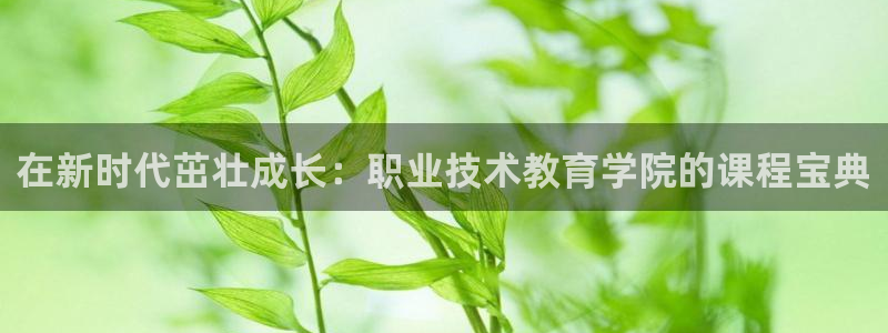 j9电竞官网|在新时代茁壮成长：职业技术教育学院的课程宝典